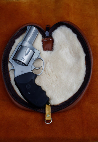 Pistol Case (Limited Quantity)