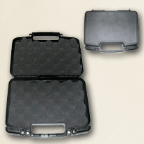 Lockable Gun Case
